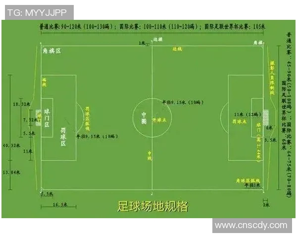 如何选择适合购买的足球球星 了解市场需求与潜力分析