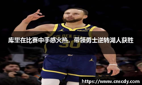 bsports官网入口
