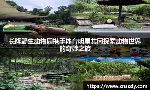 长隆野生动物园携手体育明星共同探索动物世界的奇妙之旅
