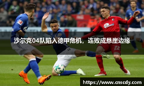 bsports官网入口