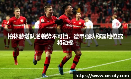 bsports官网入口