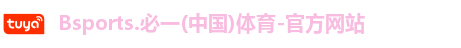 B体育官网